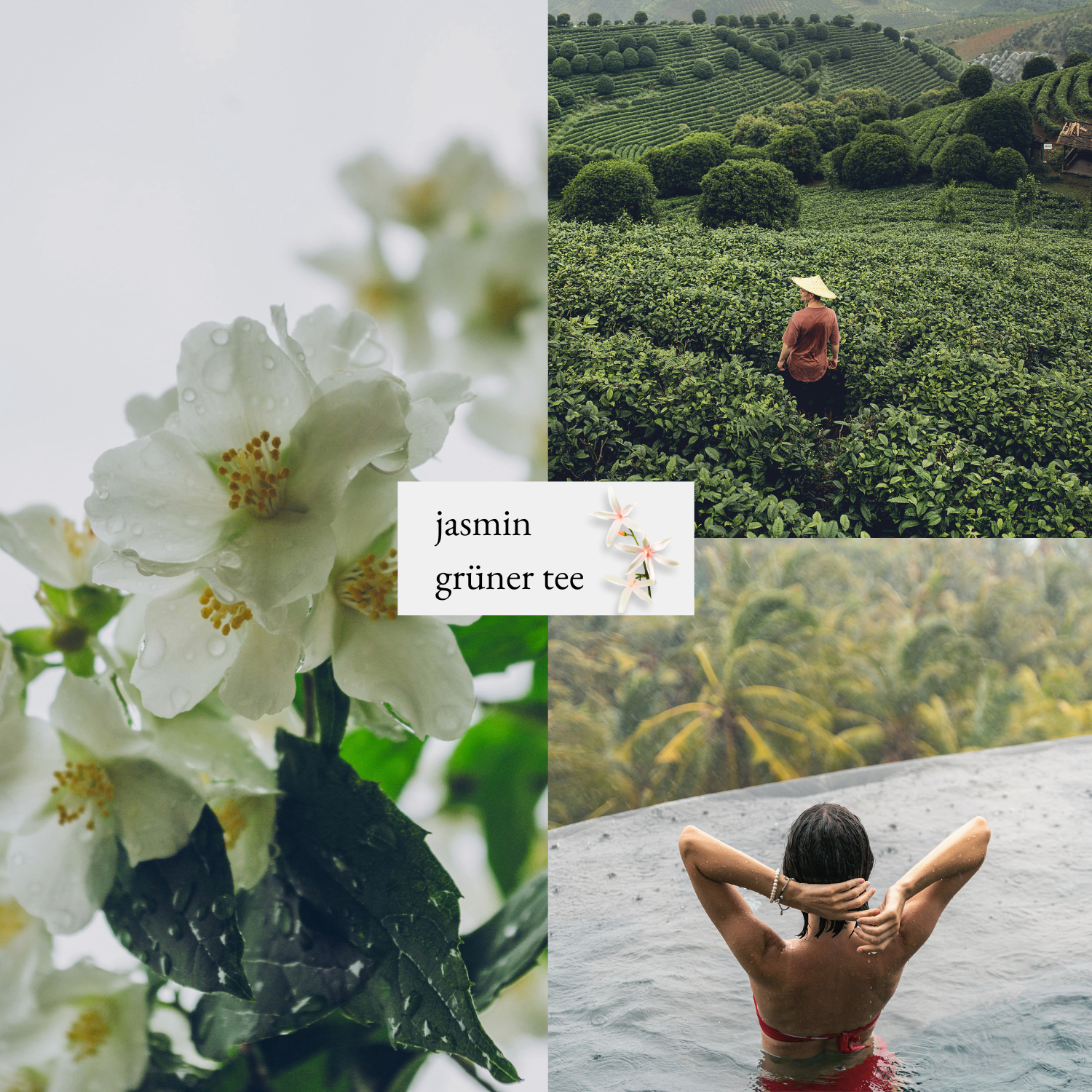 we:care² – Duschgelpulver Jasmin & Grüner Tee (32 g für 250 ml)